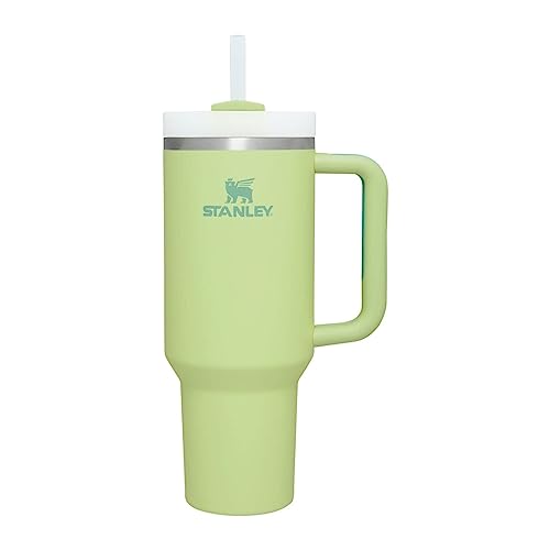 Stanley Quencher H2.0 FlowState Stainless Steel Vacuum Insulated Tumbler with Lid and Straw for Water, Iced Tea or Coffee, Smoothie and More, Citron,