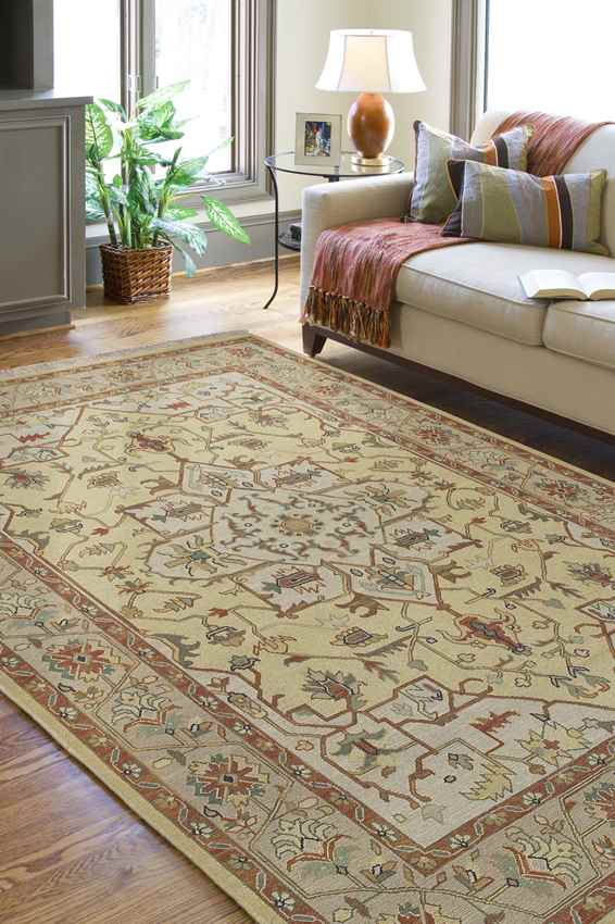 Summerdale Traditional Gold Area Rug