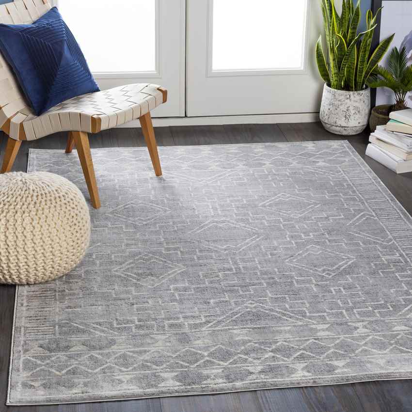 Rheeveld Global Medium Gray Area Rug