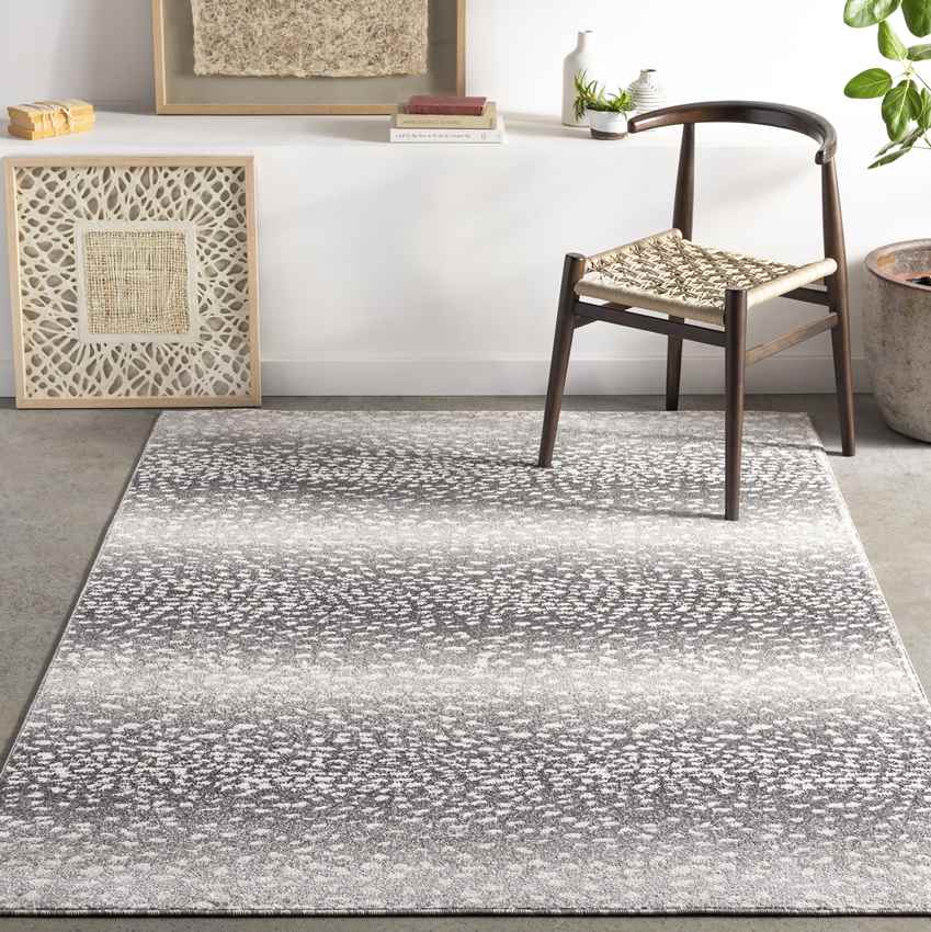 Coin Modern Charcoal Area Rug