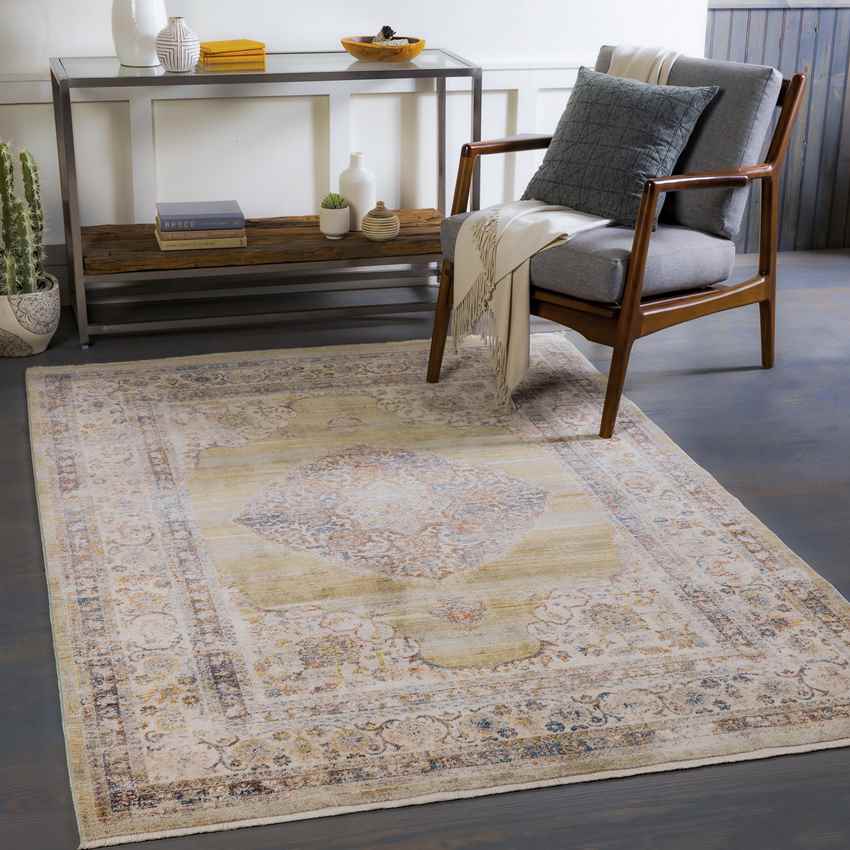 Winthrop Harbor Traditional Olive Area Rug