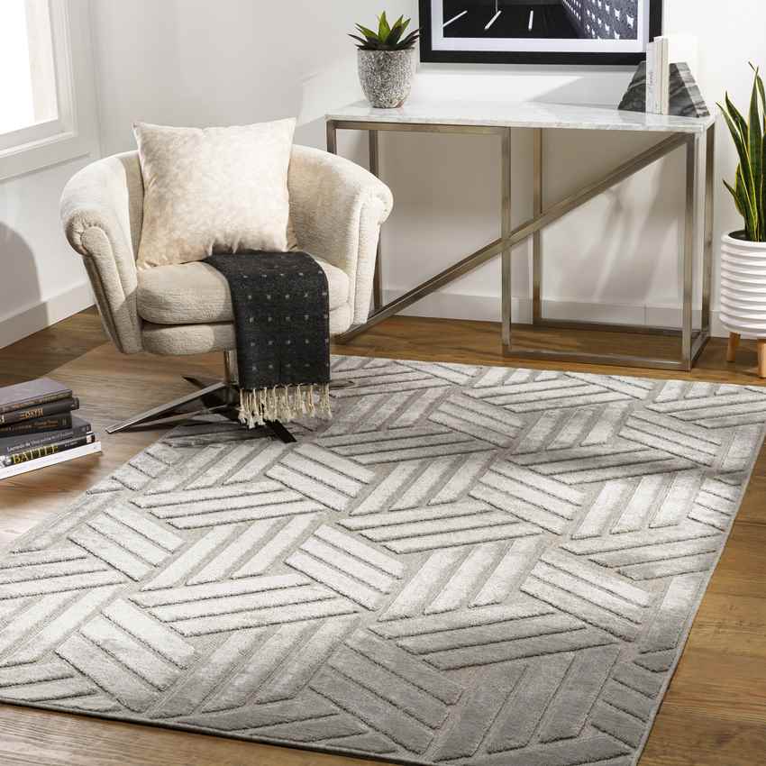 Kingsford Heights Modern Medium Gray Area Rug