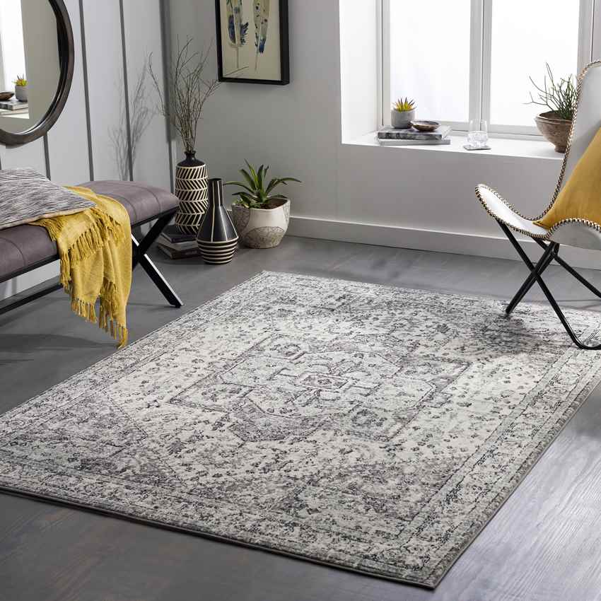 Dillsboro Traditional Gray Area Rug