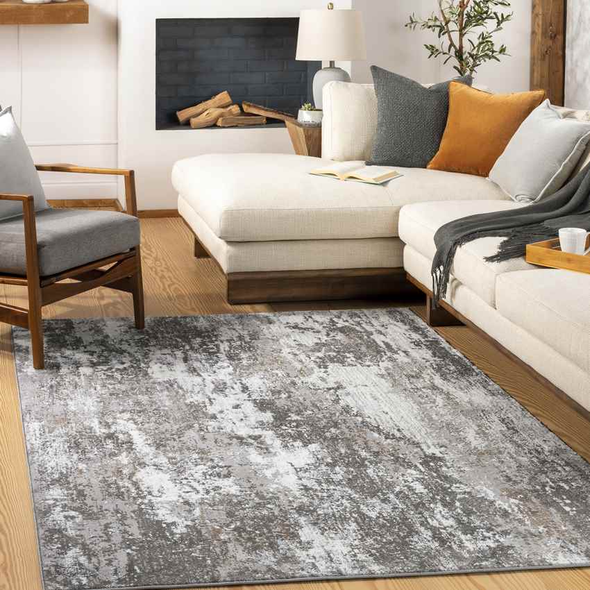 Graf Modern Gray Area Rug