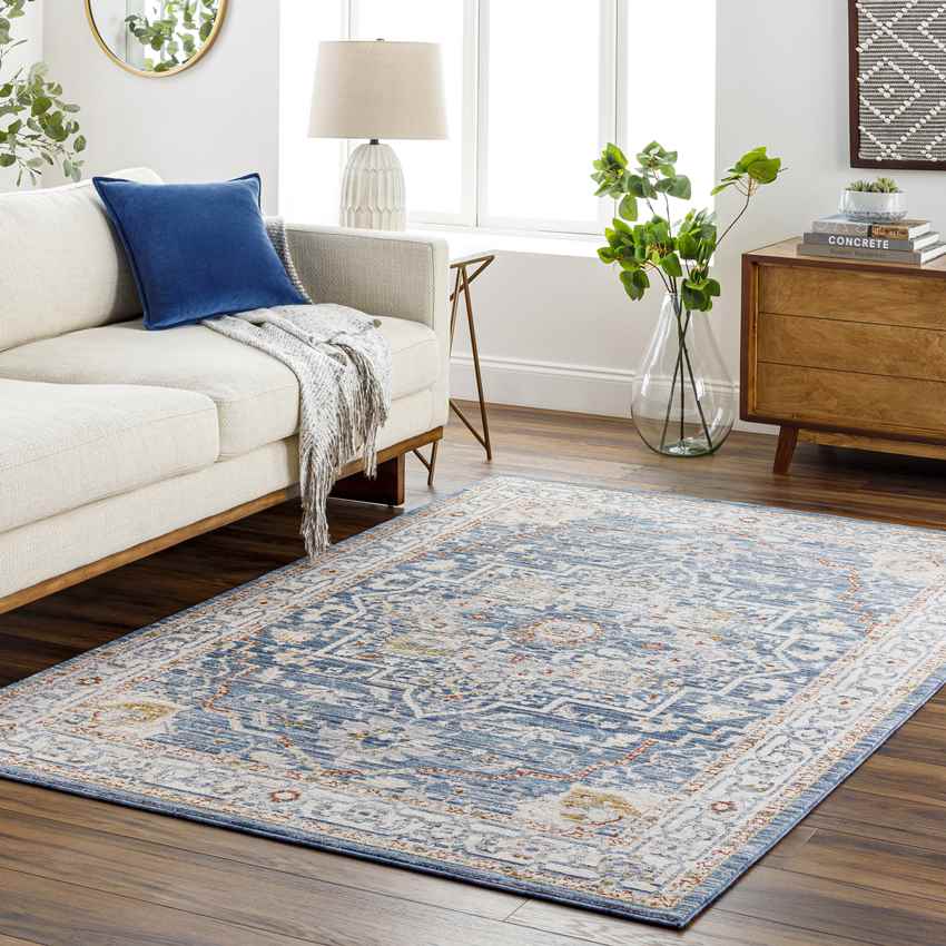 Asbury Traditional Denim Area Rug