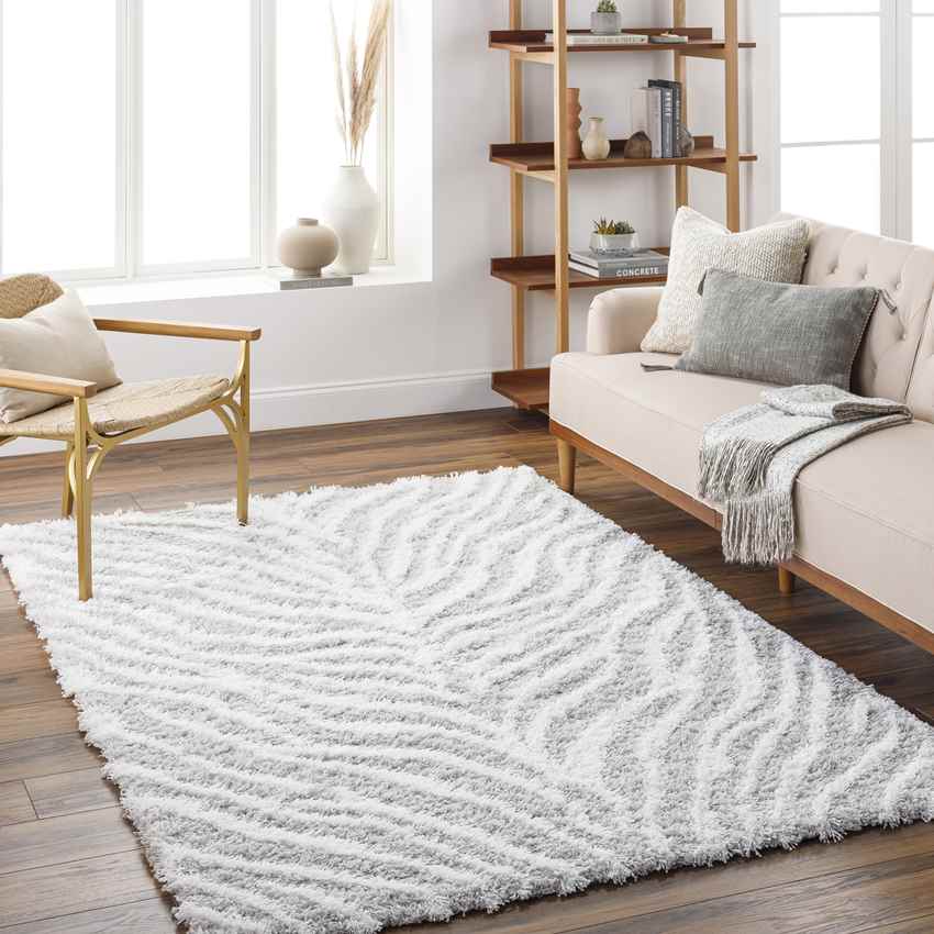 Boomer Modern Light Gray Area Rug