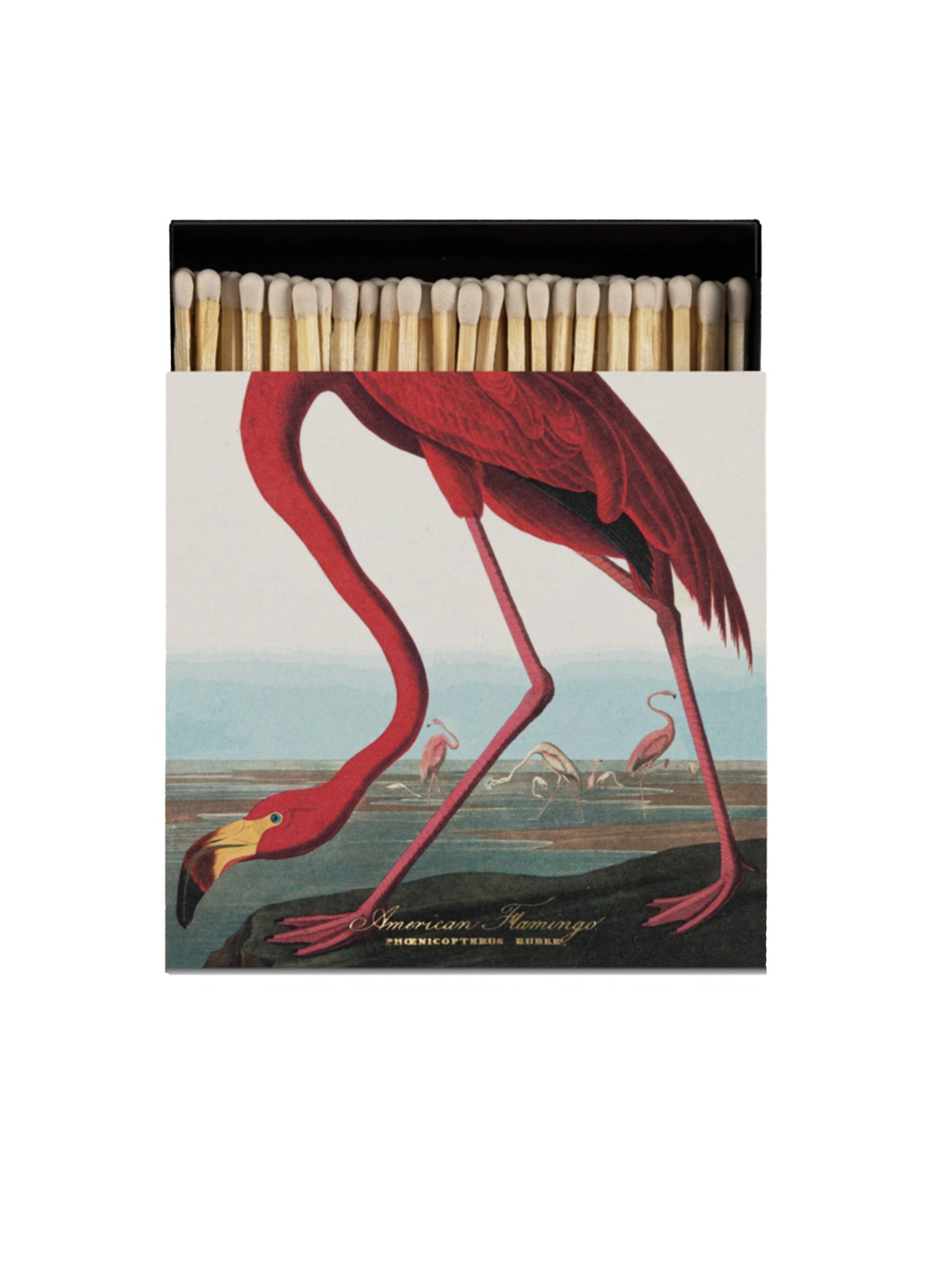 Archivist Gallery American Flamingo Matchbox