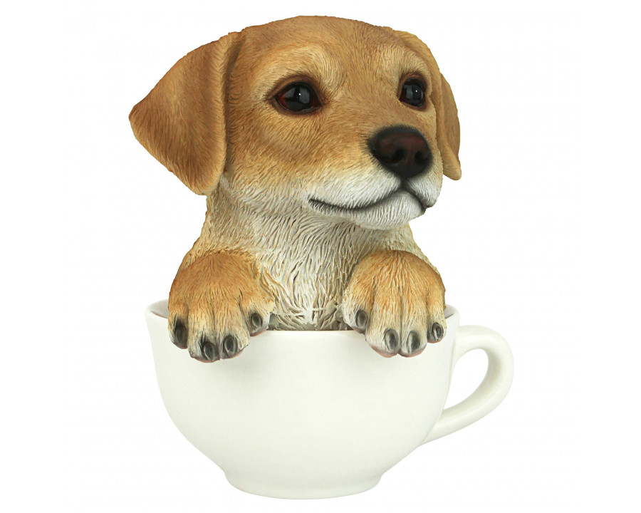 Toscano – Puppuccino Puppy Collectible Dog Statue